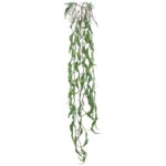 ΡΙΖΑ ΚΡΕΜΑΣΤΗ ΧΑΠΕΡΖΙΑ ΛΑΧΑΝΙ - Υ136cm 36/144ΚΙΒ