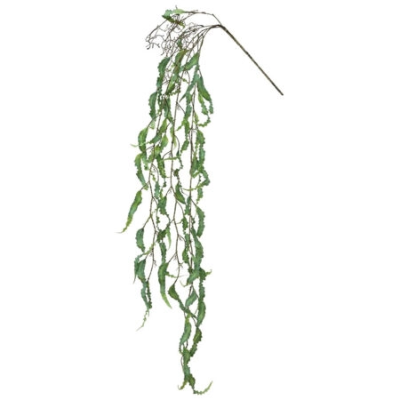 ΡΙΖΑ ΚΡΕΜΑΣΤΗ ΧΑΠΕΡΖΙΑ ΛΑΧΑΝΙ - Υ136cm 36/144ΚΙΒ - Κασπω Sticky 1