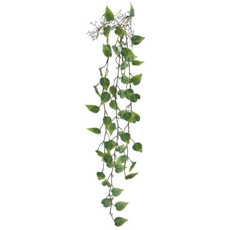 ΡΙΖΑ ΚΡΕΜΑΣΤΗ ΜΟΝΣΤΕΡΑ ΠΡΑΣΙΝΟ - Y125cm 36/144ΚΙΒ - Κασπω