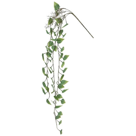 ΡΙΖΑ ΚΡΕΜΑΣΤΗ ΜΟΝΣΤΕΡΑ ΠΡΑΣΙΝΟ - Y125cm 36/144ΚΙΒ - Κασπω Sticky 1