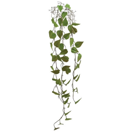 ΡΙΖΑ ΚΡΕΜΑΣΤΗ ΜΟΝΣΤΕΡΑ ΚΑΦΕ/ΠΡΑΣΙΝΟ - Y125cm 36/144ΚΙΒ - Κασπω