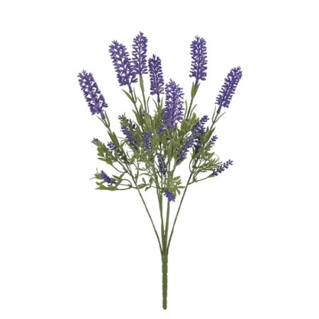 ΜΠΟΥΚΕΤΟ ΛΕΒΑΝΤΑ ΜΩΒ - Y45.5cm 24/168KIB - Κασπω