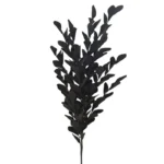 ΚΛΑΔΙ FOAM ΦΥΛΛΑ ΧΩΝΑΚΙΑ ΜΑΥΡΟ - Φ30x110cm 6/36ΚΙΒ