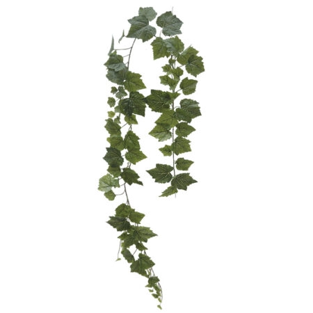 ΚΡΕΜΑΣΤΟΣ ΚΙΣΣΟΣ ΠΡΑΣΙΝΟ - 195cm 48/ΚΙΒ - Κασπω