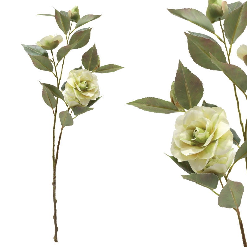 ΚΛΑΔΙ ΚΑΜΕΛΙΑΣ ΕΚΡΟΥ Χ5 ΑΝΘΗ - Y69cm 12/120ΚΙΒ