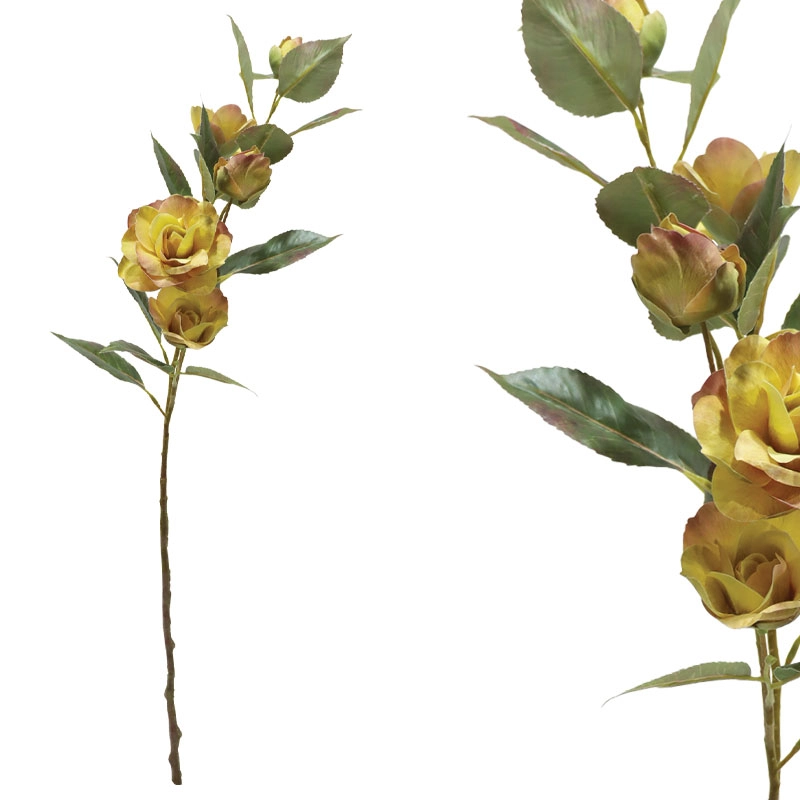 ΚΛΑΔΙ ΚΑΜΕΛΙΑΣ ΚΙΤΡΙΝΟ Χ5 ΑΝΘΗ - Y69cm 12/120ΚΙΒ