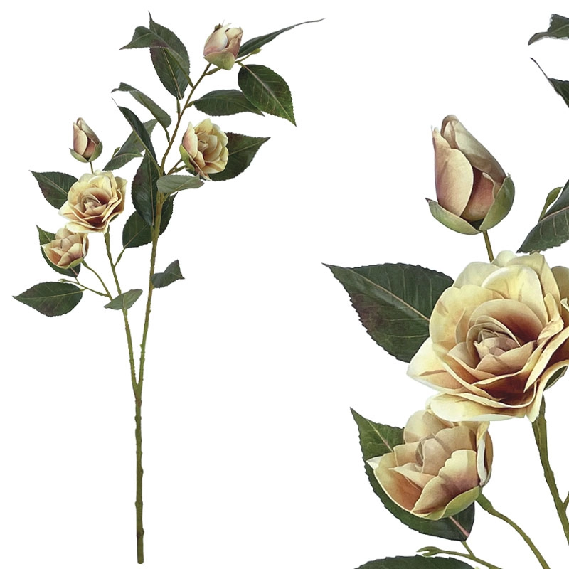 ΚΛΑΔΙ ΚΑΜΕΛΙΑΣ ΜΠΕΖ Χ5 ΑΝΘΗ - Y69cm 12/120ΚΙΒ