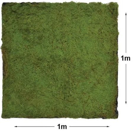 ΜΟΚΕΤΑ ΒΡΥΑ ΠΡΑΣΙΝΟ ΠΛΑΚΑΚΙ - 100x100cm 24/ΚΙΒ - Κασπω