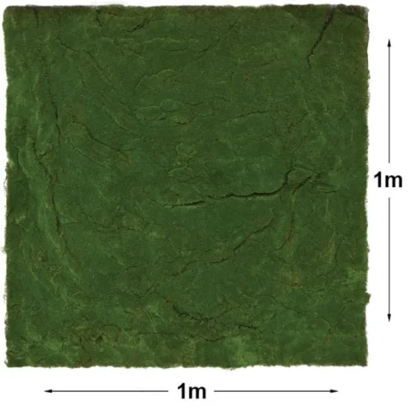 ΜΟΚΕΤΑ ΒΡΥΑ ΠΡΑΣΙΝΟ ΠΛΑΚΑΚΙ - 100x100cm 24/ΚΙΒ - Κασπω
