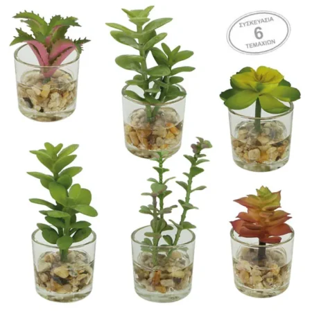 MINI ΚΑΚΤΑΚΙΑ MIX ΣΕ ΓΥΑΛΙΝΟ ΚΑΣΠΩ ΣΕΤ/6 - 5x12cm 6/16ΚΙΒ - Κασπω