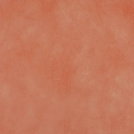 ΡΟΛΟ ΠΑΝΙ ΡΡL (NON WOVEN) ΣΟΜΟΝ 60cm X 18m - Κασπω