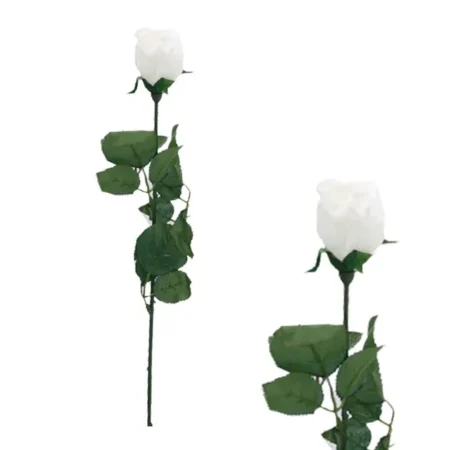ΚΛΑΔΙ ΜΠΑΚΑΡΑΣ ΛΕΥΚΟ MONO Υ64cm. 48/576KIB - Κασπω
