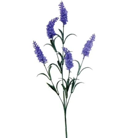 ΚΛΑΔΙ ΛΕΒΑΝΤΑ ΜΠΛΕ/ΜΩΒ Y70cm. 48/576KIB - Κασπω