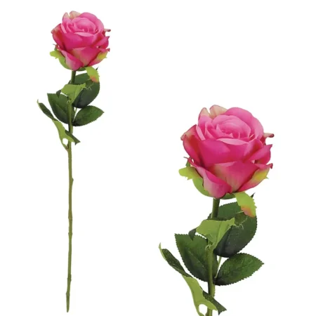 ΚΛΑΔΙ ΤΡΙΑΝΤΑΦΥΛΛΟ ΦΟΥΞ BEAUTY 48/480KIB - Κασπω