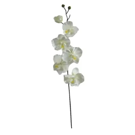 ΚΛΑΔΙ ΟΡΧΙΔΕΑ ΣΑΜΠΑΝΙ Y72cm. 36/432ΚΙΒ - Κασπω