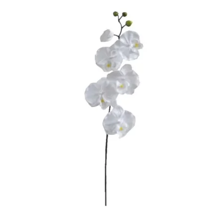 ΚΛΑΔΙ ΟΡΧΙΔΕΑ ΛΕΥΚΟ Y72cm. 36/432ΚΙΒ - Κασπω