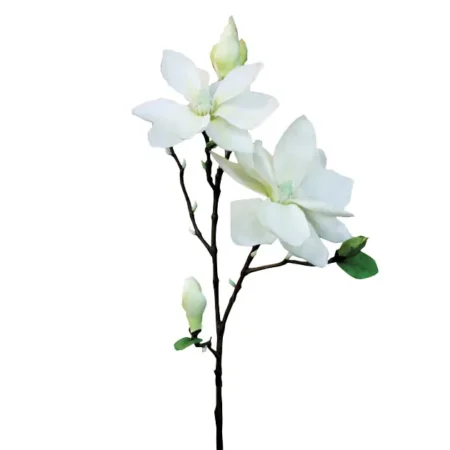 ΚΛΑΔΙ ΜΑΝΩΛΙΑ EKΡOY Y83cm. 12/144KIB - Κασπω