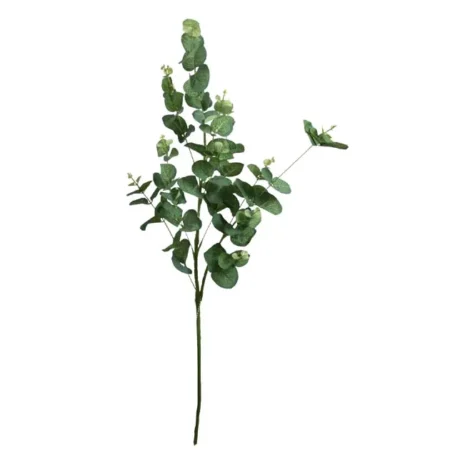 ΚΛΑΔΙ ΕΥΚΑΛΥΠΤΟΣ ΠΡΑΣΙΝΟ Y90cm. 24/192 ΚΙΒ - Κασπω