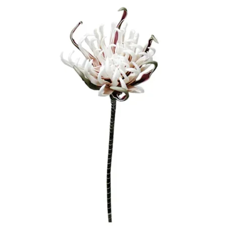 FOAM ΣΟΜΟΝ ΑΓΚΙΝΑΡΑ Y82cm. 12/120ΚΙΒ - Κασπω