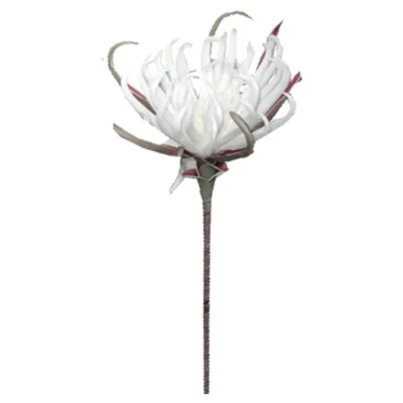 FOAM ΛΕΥΚΟ ΑΓΚΙΝΑΡΑ Y82cm. 12/120ΚΙΒ - Κασπω
