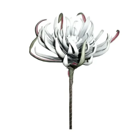 FOAM ΓΚΡΙ ΑΓΚΙΝΑΡΑ Y82cm. 12/120ΚΙΒ - Κασπω