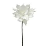 ΚΛΑΔΙ FOAM ΝΟΥΦΑΡΟ ΛΕΥΚΟ - Y75cm 24/240ΚΙΒ
