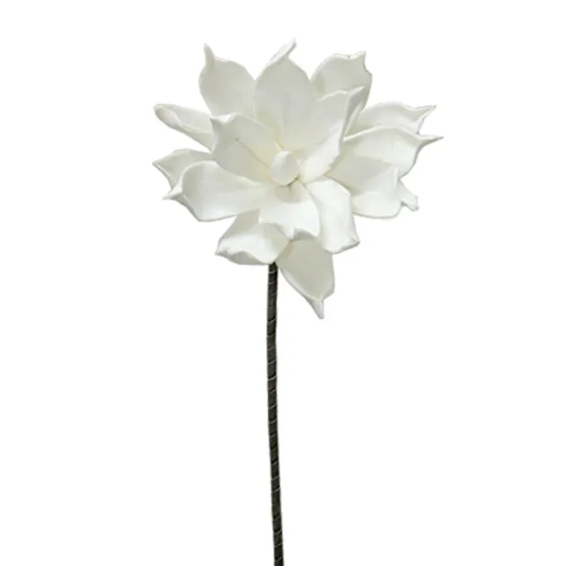 ΚΛΑΔΙ FOAM ΝΟΥΦΑΡΟ ΛΕΥΚΟ - Y75cm 24/240ΚΙΒ