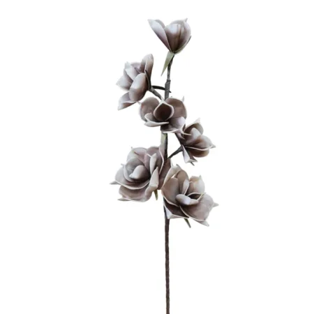ΚΛΑΔΙ FOAM ΚΑΦΕ ΑΝΘΗ ΟΡΧΙΔΕΑΣ X6 - Y79cm 6/60ΚΙΒ