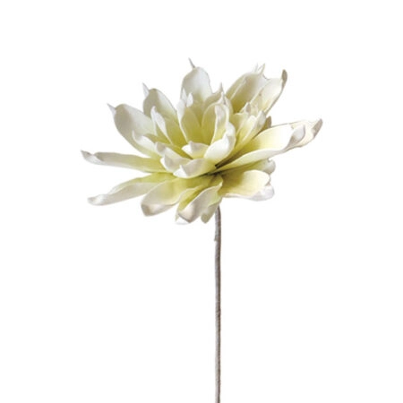 FOAM ΕΚΡΟΥ ΝΟΥΦΑΡΟ Υ90cm. 12/72ΚΙΒ - Κασπω