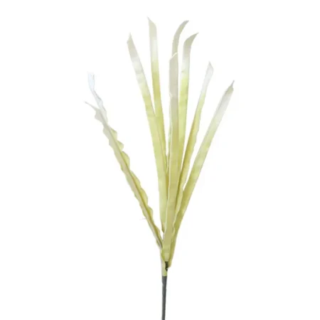 FOAM ΕΚΡΟΥ ΦΥΛΛΩΜΑ Υ113cm. 12/120ΚΙΒ - Κασπω