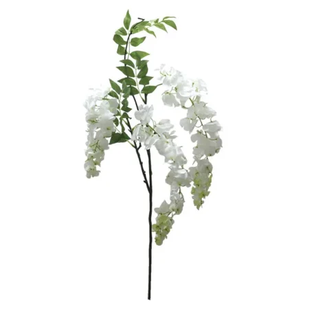 ΚΛΑΔΙ ΑΚΑΚΙΑ ΣΑΜΠΑΝΙ X3 Y75-98cm. 12/144KIB - Κασπω
