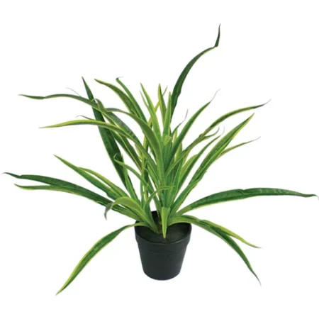 ΦΥΤΟ ΑΡΑΧΝΗ REAL TOUCH ΣΕ ΠΛΑΣΤΙΚΗ ΓΛΑΣΤΡΑ - Y43cm 6/36ΚΙΒ - Κασπω