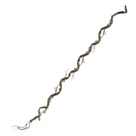 ΚΛΑΡΑ ΠΡΑΣΙΝΟ ΤΙΚ 220cm. 24 ΚΙΒ - Κασπω