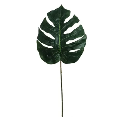 ΣΧΙΣΤΟΦΥΛΛΟ ΚΛΑΔΙ Y70cm. 72/432KIB - Κασπω