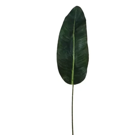 ΠΑΛΜΑ ΦΥΛΛΟ ΚΛΑΔΙ Y80cm. 72/504KIB - Κασπω