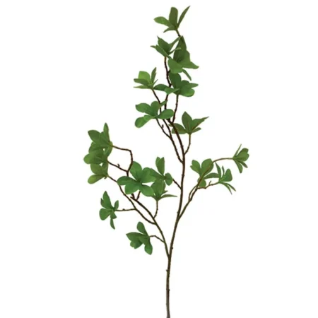 ΚΛΑΔΙ ΚΑΦΕ ΜΕ ΠΡΑΣΙΝΑ ΦΥΛΛΑ Y70cm. 36/360KIB - Κασπω