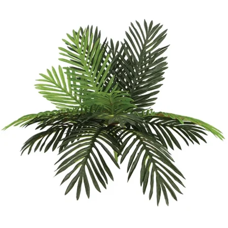 ΡΙΖΑ ΦΥΛΛΟ ΤΣΙΚΑΣ Y55cm 12/72KIB - Κασπω