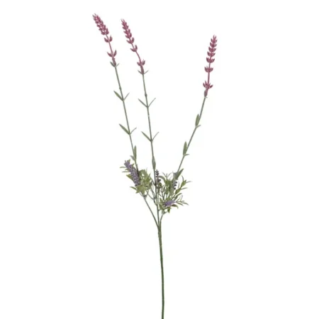 ΚΛΑΔΙ ΛΕΒΑΝΤΑ Χ3 Y70cm 48/288KIB - Κασπω