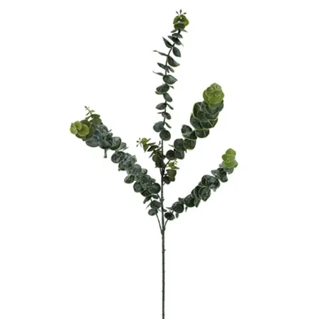 ΚΛΑΔΙ ΕΥΚΑΛΥΠΤΟΣ ΠΡΑΣΙΝΟ Y88cm 36/108ΚΙΒ - Κασπω