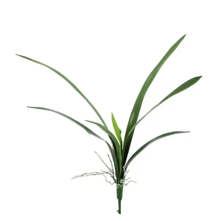 ΦΥΛΛΟ ΟΡΧΙΔΕΑΣ FABERI Y62cm 90/180ΚΙΒ - Κασπω