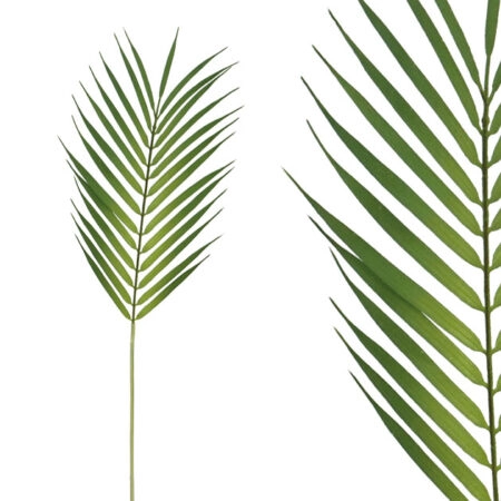 ΚΛΑΔΙ ΦΥΛΛΟ ΦΟΙΝΙΚΑ Υ60cm 72/864ΚΙΒ - Κασπω