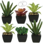 ΚΑΚΤΑΚΙΑ SET/6 ΣΕ ΚΕΡΑΜΙΚΟ ΜΑΥΡΟ ΓΛΑΣΤΡΑΚΙ 6x6x15cm 6/KIB