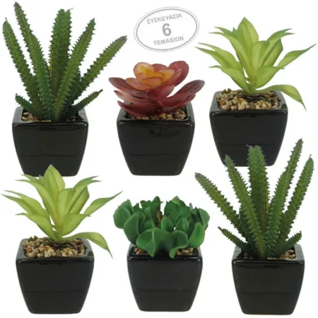 ΚΑΚΤΑΚΙΑ SET/6 ΣΕ ΚΕΡΑΜΙΚΟ ΜΑΥΡΟ ΓΛΑΣΤΡΑΚΙ 6x6x15cm 6/KIB - Κασπω