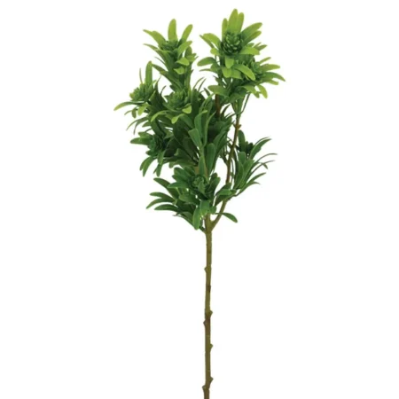 ΚΛΑΔΙ ΠΡΑΣΙΝΟ ΦΥΛΛΑΡΑΚΙ Y56cm 60/240KIB - Κασπω