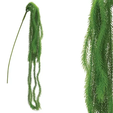 ΡΙΖΑ ΚΡΕΜΑΣΤΗ ΠΡΑΣΙΝΟ ΑΡΩΚΑΡΙΑ Υ94-152cm 36/108ΚΙΒ - Κασπω