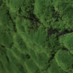 ΜΟΚΕΤΑ ΒΡΥΑ ΠΡΑΣΙΝΟ ΠΛΑΚΑΚΙ - 100x100cm 20/KΙΒ