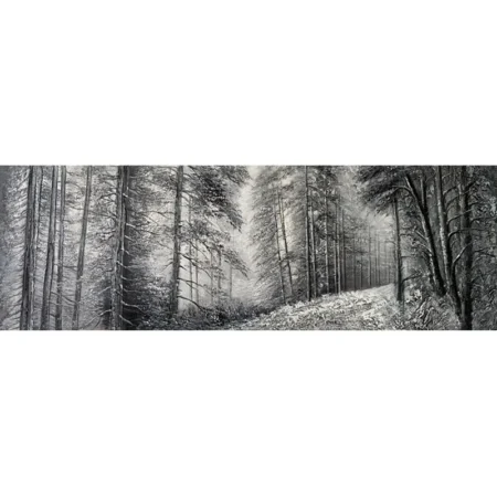ΠΙΝΑΚΑΣ ΚΑΜΒΑΣ ΜΟΝΟΠΑΤΙ ΣΤΟ ΓΚΡΙ ΔΑΣΟΣ - 150x50cm 8/KIB - Κασπω