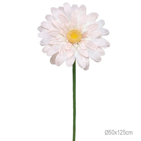 ΚΛΑΔΙ ΜΑΡΓΑΡΙΤΑ ΣΟΜΟΝ ΓΙΓΑΣ - Φ50x125cm 24/ΚΙΒ - Κασπω