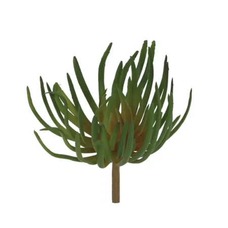 ΡΙΖΑ ΠΑΧΥΦΥΤΟ ΧΩΝΕΥΤΟ ΠΡΑΣΙΝΟ/KOKKINO - Y21cm 24/240ΚIB - Κασπω