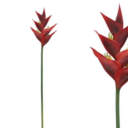 ΚΛΑΔΙ ΕΛΙΚΟΝΙΑ ΚΟΚΚΙΝΟ - Y91cm 12/96ΚIB - Κασπω